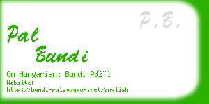 pal bundi business card